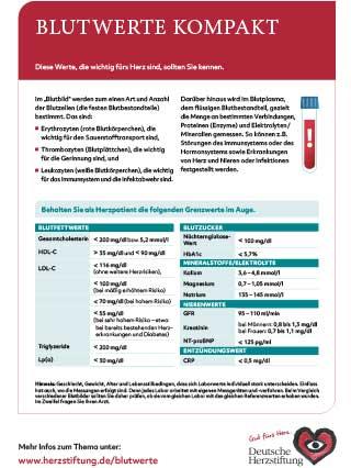 Titelbild Handout Blutwerte