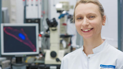 Forschung-PD-Schmidt