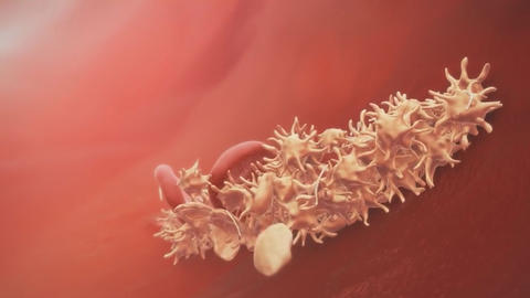 Antikörper, die sich an Blutplättchen binden