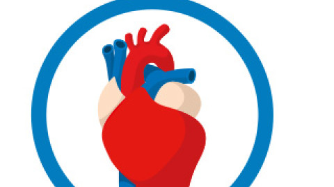 Titelbild der neuen Broschüre