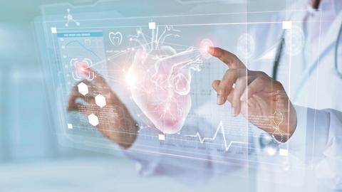 Forscher untersucht ein 3D Herz