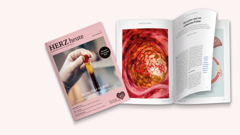 Collage der HERZ heute