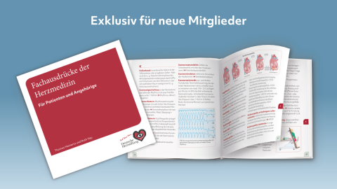 Bild vom  neuen Lexikon