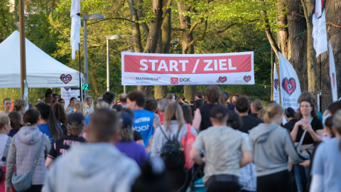 Viele Menschen drängeln am Start beim Benefizlauf in Mannheim